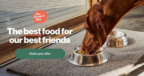 The Farmer's Dog Fresh Meal Service